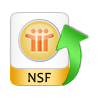 export report complete nsf file